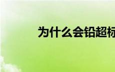 为什么会铅超标 铅超标的危害 