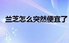 兰芝怎么突然便宜了 兰芝睡眠面膜怎么样 