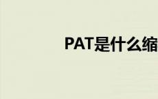 PAT是什么缩写 pat是什么 