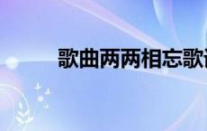 歌曲两两相忘歌词 两两相望歌词 