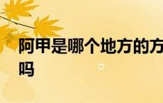 阿甲是哪个地方的方言 阿甲科技招聘是真的吗 