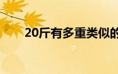 20斤有多重类似的物品 20斤有多重 