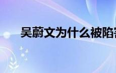 吴蔚文为什么被陷害 吴蔚文怎么死的 