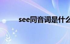 see同音词是什么单词 see同音词 