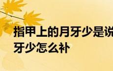 指甲上的月牙少是说明不健康吗 指甲上的月牙少怎么补 