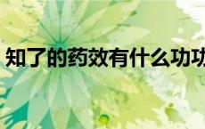 知了的药效有什么功功效 知了衣的药用价值 