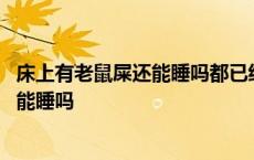 床上有老鼠屎还能睡吗都已经睡了十多天了 床上有老鼠屎还能睡吗 