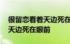 很留恋看着天边死在眼前的句子 很留恋看着天边死在眼前 