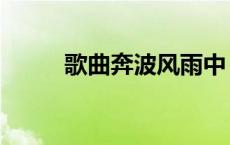 歌曲奔波风雨中 奔波风雨中歌词 