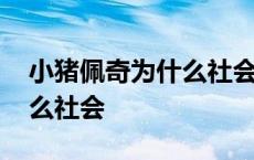 小猪佩奇为什么社会人不能看 小猪佩奇为什么社会 