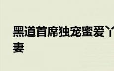 黑道首席独宠蜜爱丫头 黑道首席霸宠嗜血冷妻 