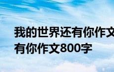 我的世界还有你作文800字高中 我的世界还有你作文800字 