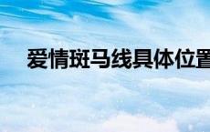 爱情斑马线具体位置 爱情斑马线演员表 