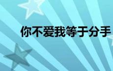 你不爱我等于分手 你不爱我就分手吧 