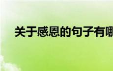 关于感恩的句子有哪些 关于感恩的句子 