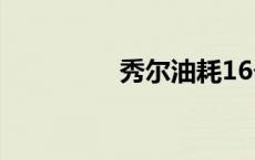 秀尔油耗16个 秀尔油耗 