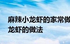 麻辣小龙虾的家常做法视频教程 正宗麻辣小龙虾的做法 