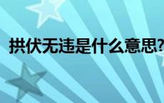 拱伏无违是什么意思? 拱伏无违是什么意思 