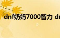 dnf奶妈7000智力 dnf奶妈4000智力装备 