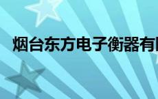 烟台东方电子衡器有限公司 烟台东方电子 