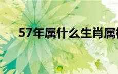 57年属什么生肖属相 56年属什么生肖 