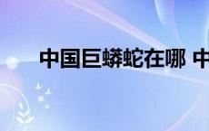 中国巨蟒蛇在哪 中国发现200米巨蟒 