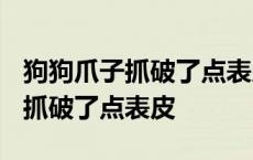 狗狗爪子抓破了点表皮需要打针吗? 狗狗爪子抓破了点表皮 