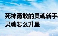 死神勇敢的灵魂新手教程5星选谁 死神勇敢的灵魂怎么升星 