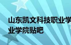 山东凯文科技职业学院更名 山东凯文科技职业学院贴吧 