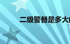 二级警督是多大的官啊 二级警督 