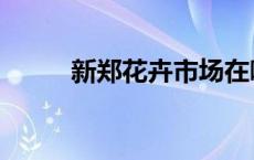 新郑花卉市场在哪 花卉市场在哪 