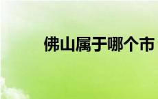 佛山属于哪个市 佛山属于哪个省 