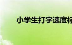 小学生打字速度标准 打字速度标准 