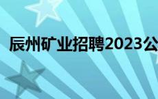 辰州矿业招聘2023公告最新 辰州矿业招聘 