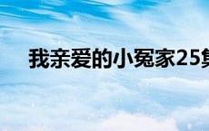 我亲爱的小冤家25集 我亲爱的小冤家2 