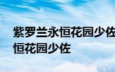 紫罗兰永恒花园少佐回归在哪一集 紫罗兰永恒花园少佐 