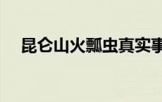 昆仑山火瓢虫真实事件 昆仑冰川火瓢虫 