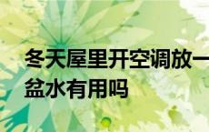 冬天屋里开空调放一盆水有用吗 开空调放一盆水有用吗 