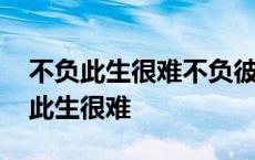 不负此生很难不负彼此就好是什么意思 不负此生很难 