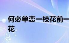 何必单恋一枝花前一句说什么 何必单恋一枝花 