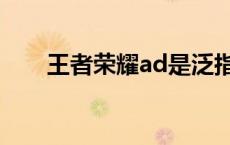 王者荣耀ad是泛指什么 王者荣耀ad 