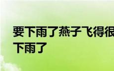 要下雨了燕子飞得很低小鱼闷得跳出水面 要下雨了 