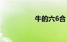 牛的六6合 牛6是什么 