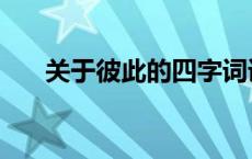 关于彼此的四字词语 关于彼此的成语 