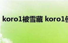 koro1被雪藏 koro1使用哪个英雄一战成名 