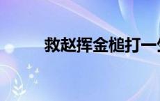 救赵挥金槌打一生肖 救赵挥金槌 