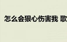 怎么会狠心伤害我 歌词 怎么会狠心伤害我 