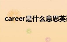 career是什么意思英语 career是什么意思 