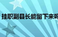 挂职副县长能留下来吗 挂职副县长有实权吗 