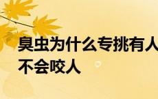 臭虫为什么专挑有人睡的床上 开灯睡臭虫会不会咬人 